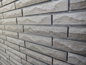 3DSCF0544